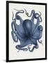 Octopus 5-Fab Funky-Framed Premium Giclee Print