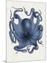 Octopus 5-Fab Funky-Mounted Art Print