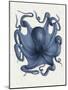 Octopus 5-Fab Funky-Mounted Art Print