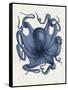 Octopus 5-Fab Funky-Framed Stretched Canvas