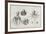 Octopus Anatomy, 18th Century-Middle Temple Library-Framed Photographic Print