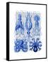 Octopus and Squid Blue-Fab Funky-Framed Stretched Canvas