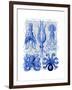 Octopus and Squid Blue-Fab Funky-Framed Art Print