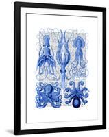 Octopus and Squid Blue-Fab Funky-Framed Art Print