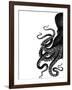 Octopus Black and White a-Fab Funky-Framed Art Print