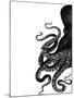 Octopus Black and White a-Fab Funky-Mounted Art Print