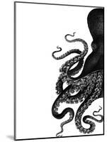 Octopus Black and White a-Fab Funky-Mounted Art Print