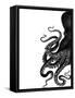 Octopus Black and White a-Fab Funky-Framed Stretched Canvas