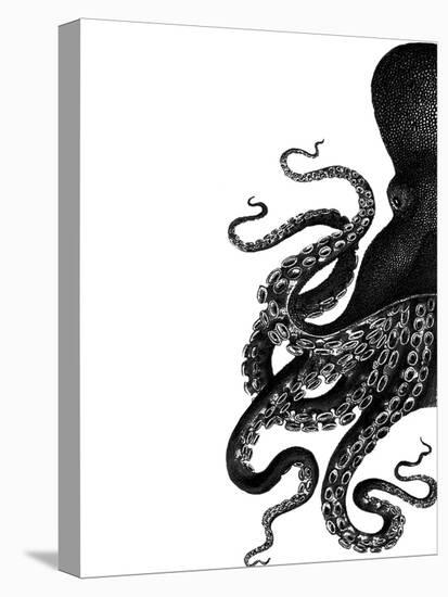 Octopus Black and White a-Fab Funky-Stretched Canvas