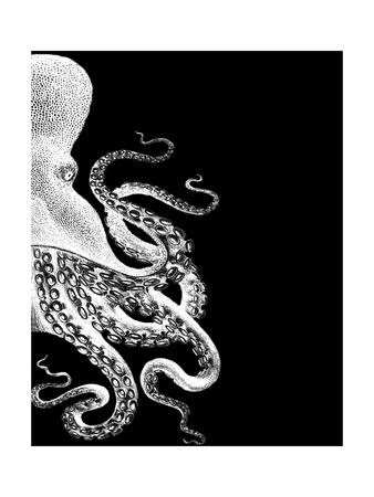 ‘Octopus Black and White b’ Print - Fab Funky | AllPosters.com