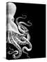Octopus Black and White b-Fab Funky-Stretched Canvas