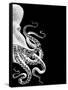 Octopus Black and White b-Fab Funky-Framed Stretched Canvas