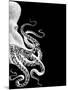Octopus Black and White b-Fab Funky-Mounted Art Print