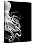 Octopus Black and White b-Fab Funky-Stretched Canvas