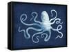 Octopus Blues-Edward Selkirk-Framed Stretched Canvas