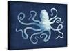 Octopus Blues-Edward Selkirk-Stretched Canvas