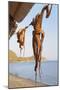 Octopus Drying in the Sun in the Greek Islands-StockCube-Mounted Photographic Print