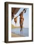 Octopus Drying in the Sun in the Greek Islands-StockCube-Framed Photographic Print