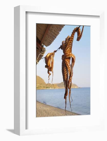 Octopus Drying in the Sun in the Greek Islands-StockCube-Framed Photographic Print