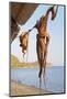 Octopus Drying in the Sun in the Greek Islands-StockCube-Mounted Photographic Print