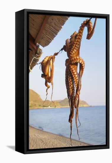 Octopus Drying in the Sun in the Greek Islands-StockCube-Framed Stretched Canvas