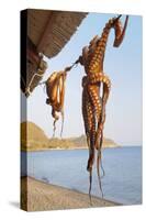 Octopus Drying in the Sun in the Greek Islands-StockCube-Stretched Canvas