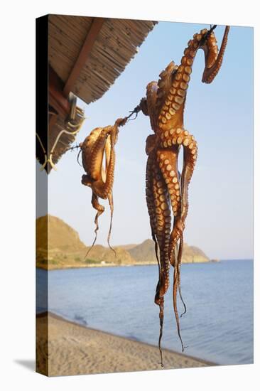 Octopus Drying in the Sun in the Greek Islands-StockCube-Stretched Canvas