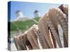 Octopus Drying in the Sun, Mykonos, Cyclades Islands, Greece, Europe-Lee Frost-Stretched Canvas