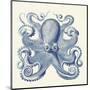 Octopus I-Sparx Studio-Mounted Art Print