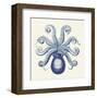 Octopus II-Sparx Studio-Framed Art Print