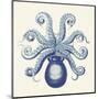 Octopus II-Sparx Studio-Mounted Art Print