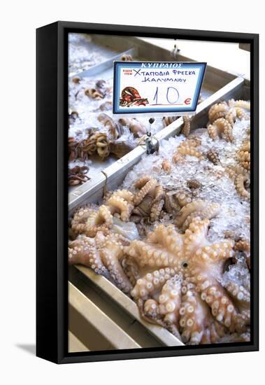 Octopus in the Market, Kalymnos, Dodecanese, Greek Islands, Greece, Europe-Neil Farrin-Framed Stretched Canvas