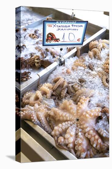 Octopus in the Market, Kalymnos, Dodecanese, Greek Islands, Greece, Europe-Neil Farrin-Stretched Canvas