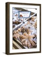 Octopus in the Market, Kalymnos, Dodecanese, Greek Islands, Greece, Europe-Neil Farrin-Framed Photographic Print