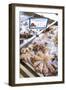 Octopus in the Market, Kalymnos, Dodecanese, Greek Islands, Greece, Europe-Neil Farrin-Framed Photographic Print