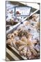 Octopus in the Market, Kalymnos, Dodecanese, Greek Islands, Greece, Europe-Neil Farrin-Mounted Photographic Print