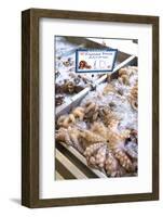 Octopus in the Market, Kalymnos, Dodecanese, Greek Islands, Greece, Europe-Neil Farrin-Framed Photographic Print