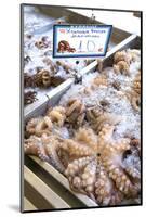 Octopus in the Market, Kalymnos, Dodecanese, Greek Islands, Greece, Europe-Neil Farrin-Mounted Photographic Print