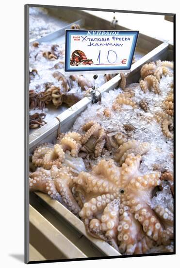 Octopus in the Market, Kalymnos, Dodecanese, Greek Islands, Greece, Europe-Neil Farrin-Mounted Photographic Print