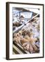 Octopus in the Market, Kalymnos, Dodecanese, Greek Islands, Greece, Europe-Neil Farrin-Framed Photographic Print