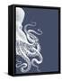 Octopus Indigo Blue and Cream b-Fab Funky-Framed Stretched Canvas