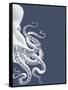 Octopus Indigo Blue and Cream b-Fab Funky-Framed Stretched Canvas