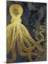 Octopus Ink Gold & Blue I-Christine Zalewski-Mounted Art Print