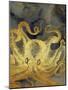 Octopus Ink Gold & Blue II-Christine Zalewski-Mounted Art Print