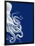 Octopus Navy Blue and Cream b-Fab Funky-Framed Art Print