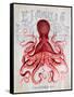 Octopus Prohibition Octopus On White-Fab Funky-Framed Stretched Canvas