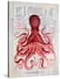 Octopus Prohibition Octopus On White-Fab Funky-Stretched Canvas