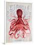 Octopus Prohibition Octopus On White-Fab Funky-Framed Premium Giclee Print