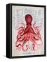 Octopus Prohibition Octopus On White-Fab Funky-Framed Stretched Canvas