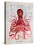 Octopus Prohibition Octopus On White-Fab Funky-Stretched Canvas